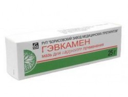 Гэвкамен мазь 25 г 1 шт.